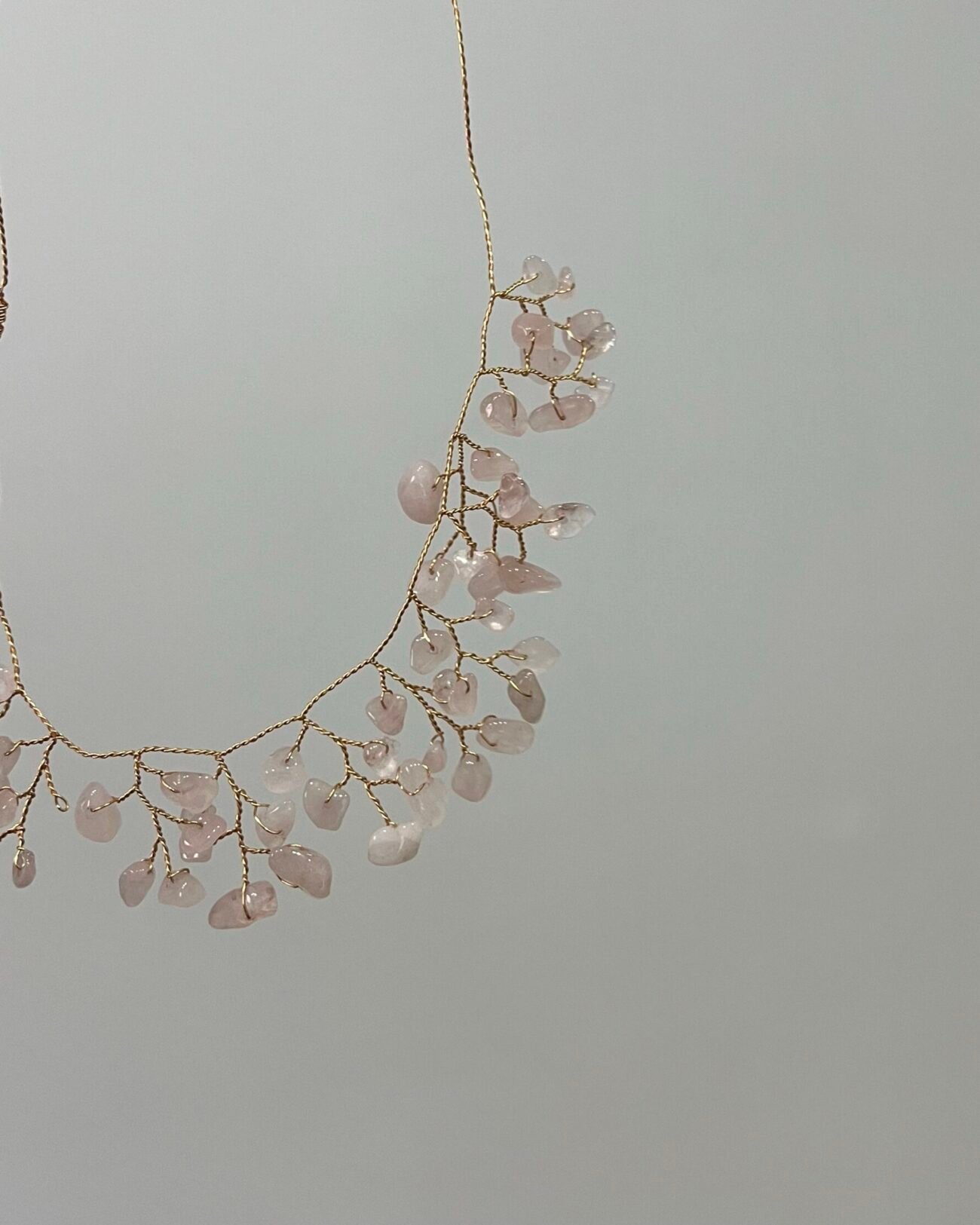 Choker siempreviva